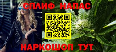 сатива Краснознаменск