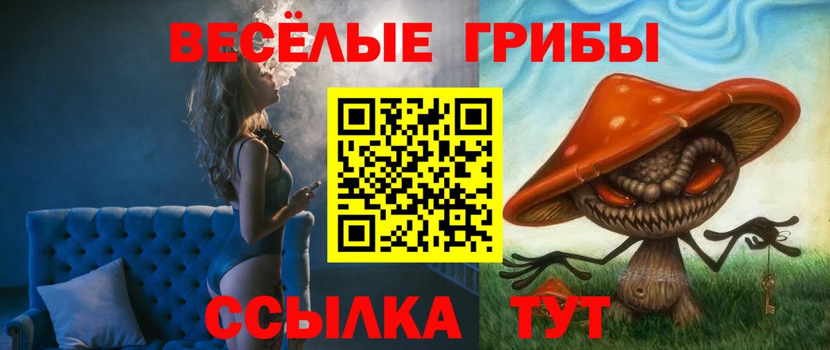 Галлюциногенные грибы Cubensis Егорьевск